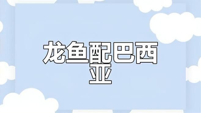 巴西亞魚和什么魚混養(yǎng)最好（關于巴西亞魚與其他魚類混養(yǎng)的最佳組合）
