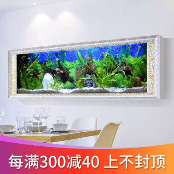 龍魚跳缸后受傷怎么辦（龍魚跳缸后受傷怎么辦呢）（如何避免龍魚跳缸后受傷）