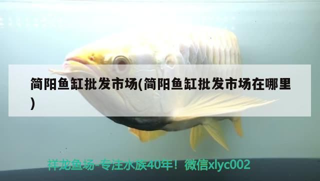 簡陽魚缸批發市場(簡陽魚缸批發市場在哪里)（成都簡陽魚缸批發市場）