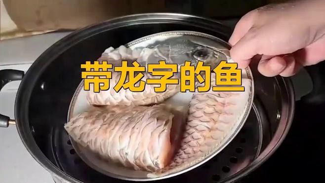 青龍魚有哪些品種？（關于青龍魚品種的簡要概述：青龍魚品種圖鑒)）