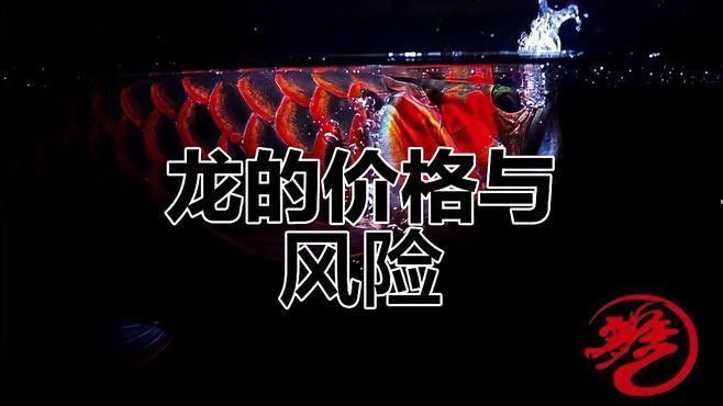 如何判斷一個龍魚商家的信譽？（一個龍魚商家的信譽可以從以下幾個方面進行評估）