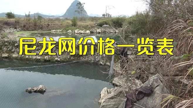 尼龍網蓋的價格是多少？（尼龍網多少錢一平方米） 尼龍網蓋的價格是多少？（尼龍網多少錢一平方米） 龍魚百科 第1張