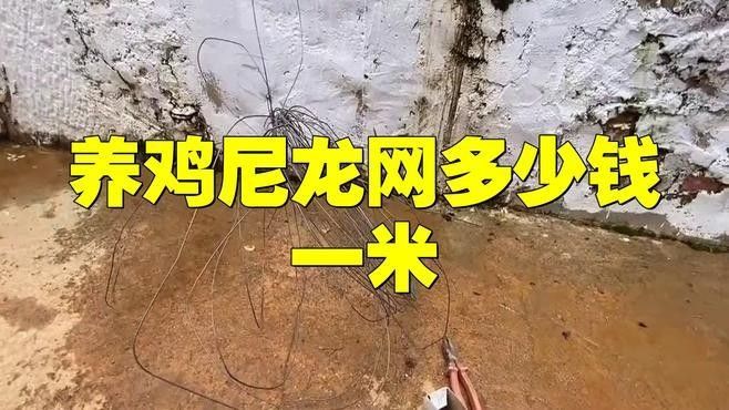 尼龍網蓋的價格是多少？（尼龍網多少錢一平方米） 尼龍網蓋的價格是多少？（尼龍網多少錢一平方米） 龍魚百科 第2張