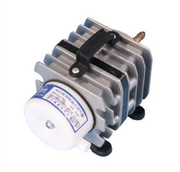 金龍魚飼料品牌（金龍魚飼料品牌排行榜）（金龍魚飼料品牌排行榜）