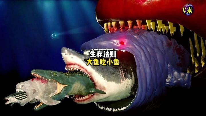 藍(lán)龍魚（海生）的捕食方式（科普中國危險(xiǎn)預(yù)兆）