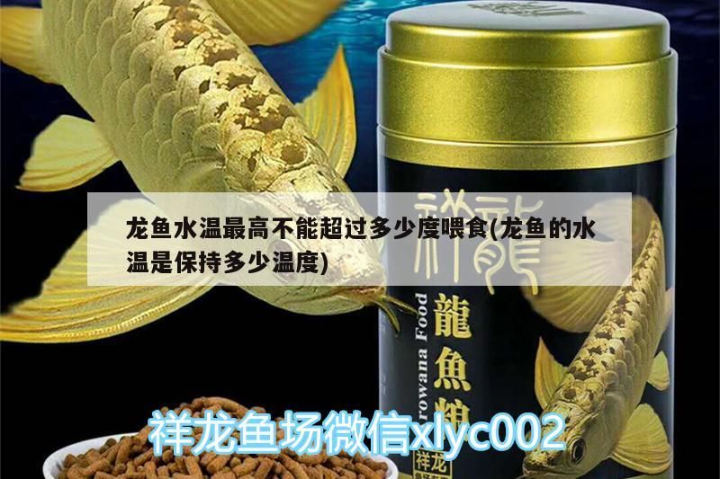 龍魚水溫最高不能超過多少度喂食(龍魚的水溫是保持多少溫度)（龍魚水溫最高不能超過多少度喂食）