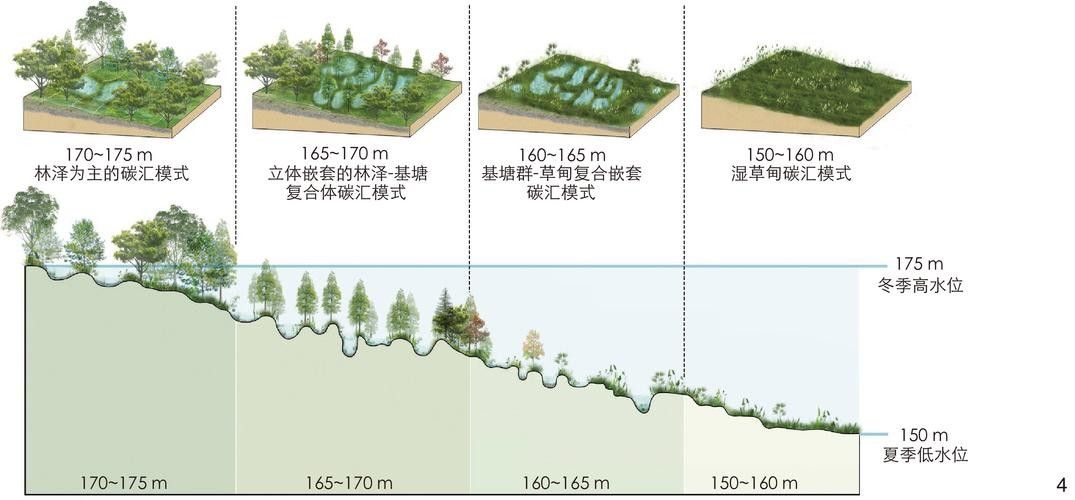 如何減少混養中的沖突?(混養沖突怎么辦) 龍魚百科 第4張 如何減少混養中的沖突?(混養沖突怎么辦) 如何減少混養中的沖突?(混養沖突怎么辦) 龍魚百科 第4張