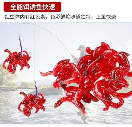 給我推薦一些適合釣紅龍魚的魚餌（適合釣紅龍魚的餌料有哪些）
