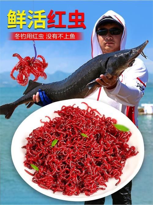 給我推薦一些適合釣紅龍魚的魚餌（適合釣紅龍魚的餌料有哪些）