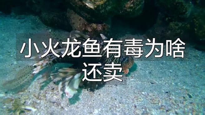 火龍魚有哪些種類（火龍魚有哪些種類？）