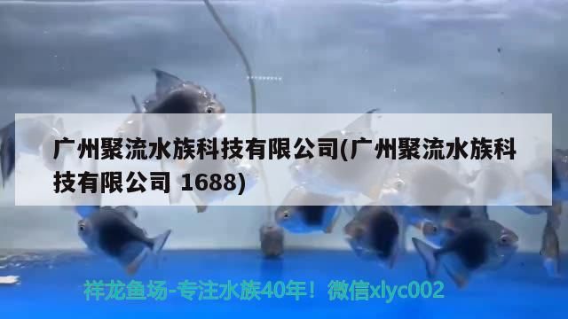 廣州聚流水族科技有限公司(廣州聚流水族科技有限公司1688)（廣州聚流水族科技有限公司）