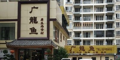 廣龍魚飯店的價格范圍（廣東龍魚飯店的價格范圍）