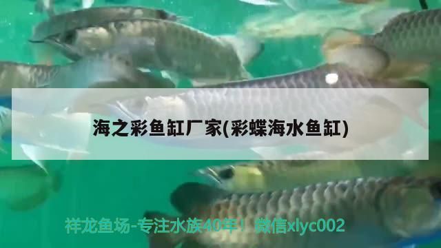 龍魚身體彎曲是什么原因，龍魚為什么彎著身子