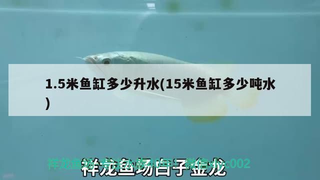 1.5米魚缸多少升水(15米魚缸多少噸水)（1.5米魚缸多少升水）