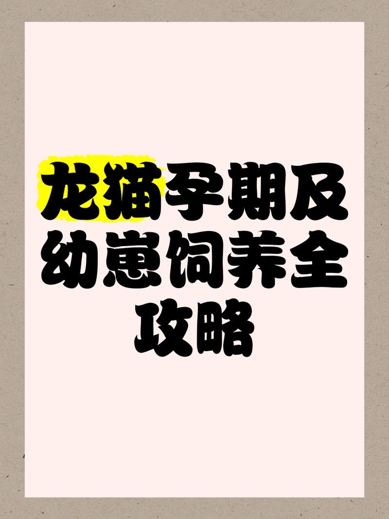 龍貓懷孕期間應該如何照顧（龍貓孕期護理全攻略[emoji[需手動填充]1f495[[需手動填充]emoji[需手動填充]）