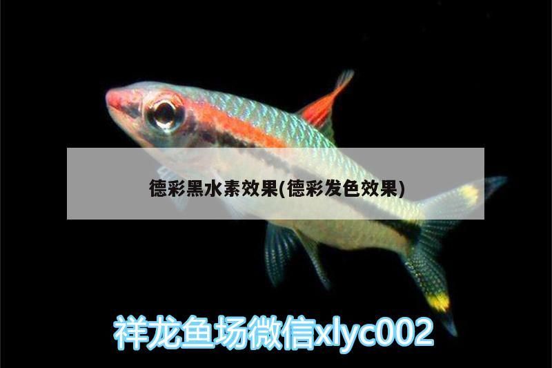 德彩<strong><mark>黑水</mark></strong>素效果(德彩發(fā)色效果)（德彩<strong><mark>黑水</mark></strong>素使用方法）