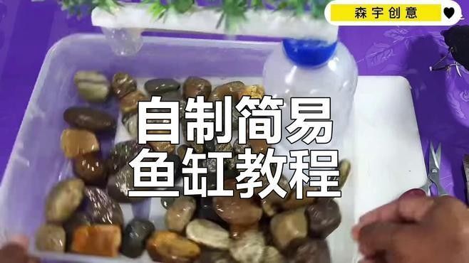 自制龍魚缸需要多長時間（自制龍魚缸所需時間）