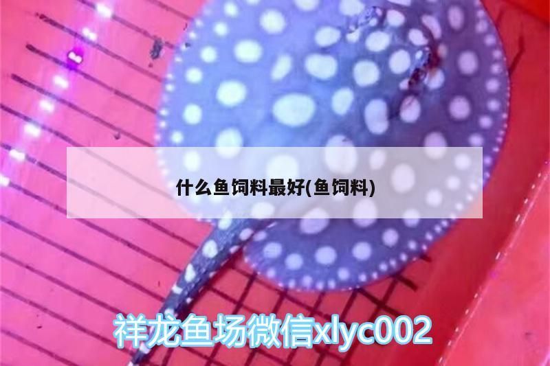 什么魚飼料最好(魚飼料)（金龍魚喂什么飼料最好）