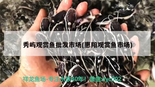 秀嶼觀賞魚批發市場(惠陽觀賞魚市場)（惠陽秀嶼觀賞魚批發市場）