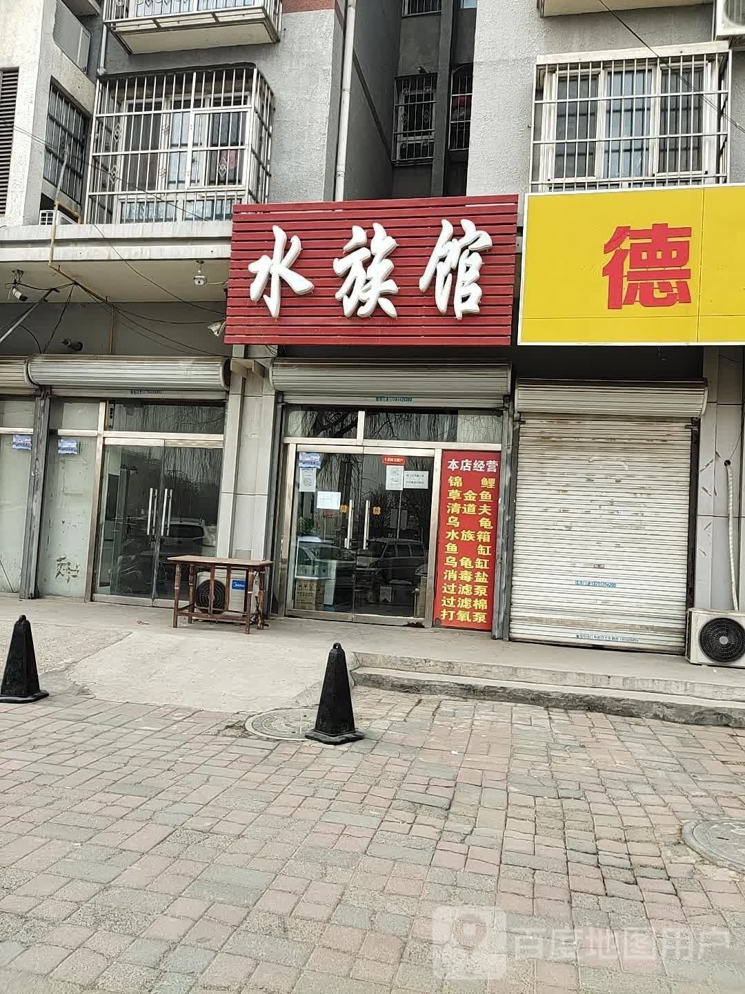 徐水哪個水族館龍魚好？祥龍魚場龍魚（河北保定水祥龍魚場）