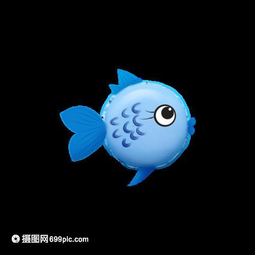觀賞魚藍色長條的小魚叫什么名字（關于觀賞魚藍色長條的小魚的介紹）
