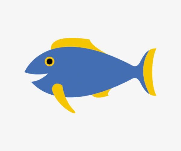 觀賞魚藍色長條的小魚叫什么名字（關于觀賞魚藍色長條的小魚的介紹）