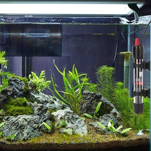 海南龍魚加熱棒需要多少瓦（如何挑選適合大型龍魚缸的加熱棒）