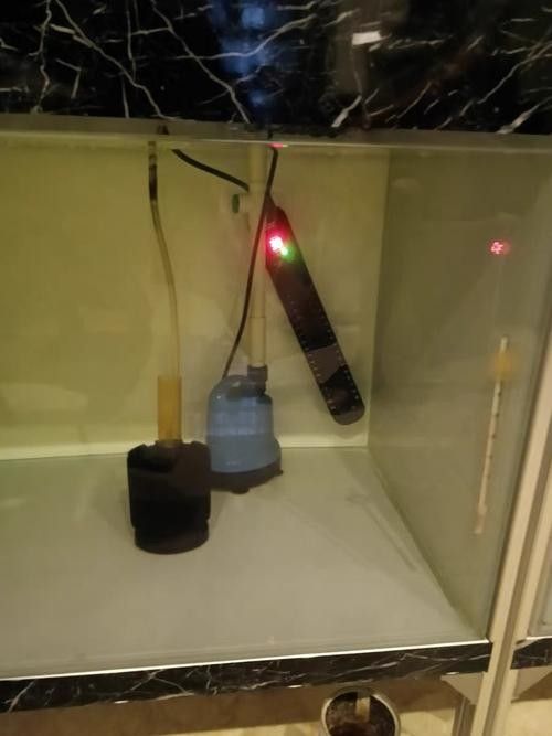 海南龍魚加熱棒需要多少瓦（如何挑選適合大型龍魚缸的加熱棒）