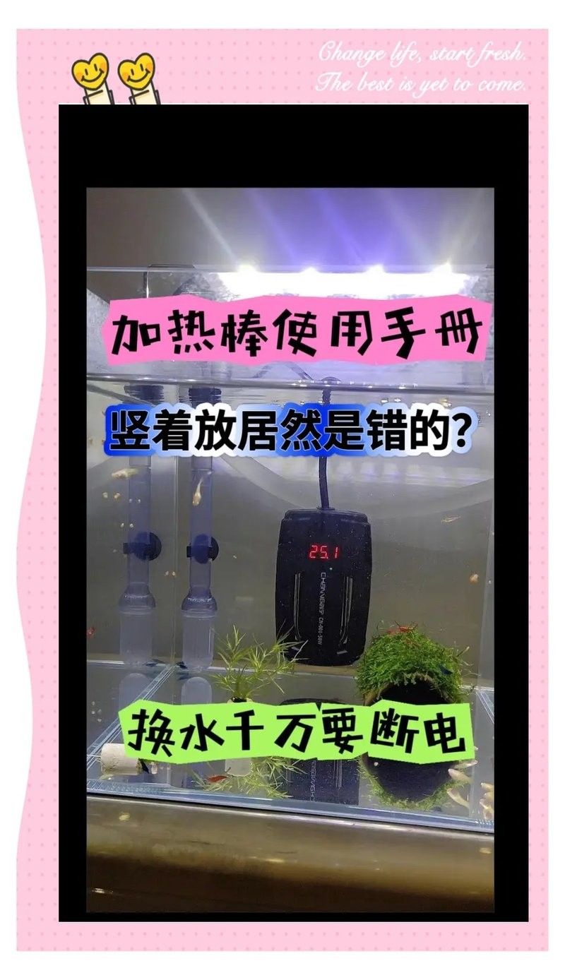 海南龍魚加熱棒需要多少瓦（如何挑選適合大型龍魚缸的加熱棒）