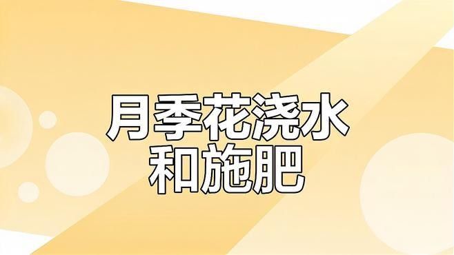 紅龍月季室內(nèi)養(yǎng)殖如何施肥？（紅龍月季施肥的8大誤區(qū)）