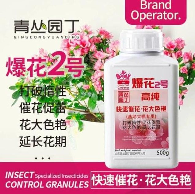 紅龍月季室內(nèi)養(yǎng)殖如何施肥？（紅龍月季施肥的8大誤區(qū)）