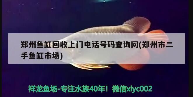 鄭州魚缸回收上門電話號碼查詢網(鄭州市二手魚缸市場)