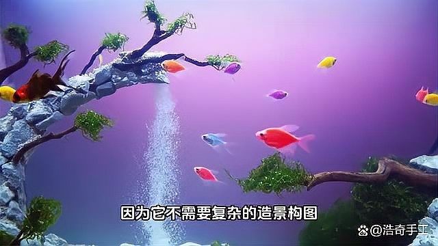 流沙瀑布造景的具體步驟是什么