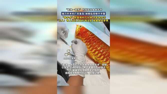如何預約這兩家醫院的龍魚掉眼手術（如何預約兩家知名醫院——龍魚掉眼手術）
