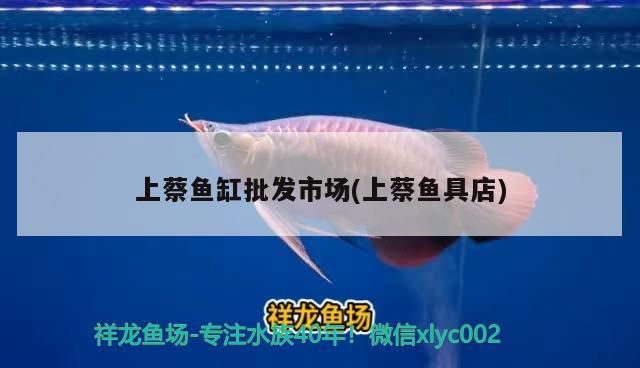 上蔡魚缸批發市場(上蔡魚具店)（上蔡魚缸批發市場）