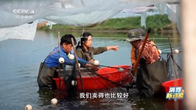 如何聯(lián)系到昌吉回族自治州的龍魚養(yǎng)殖場(chǎng)