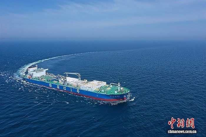 2025年龍魚市場有哪些新品種（025年龍魚市場預計將出現一系列新品種）