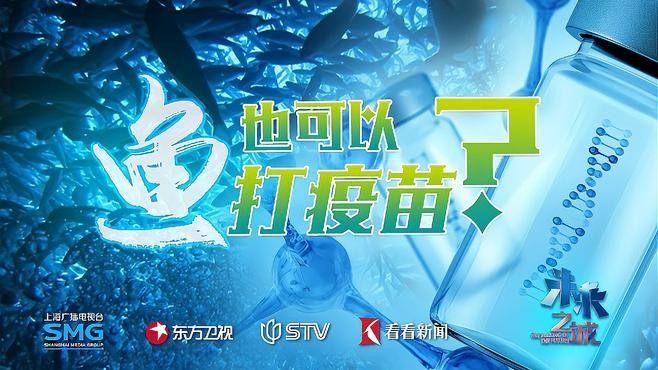 2025年龍魚市場有哪些新品種（025年龍魚市場預計將出現一系列新品種）