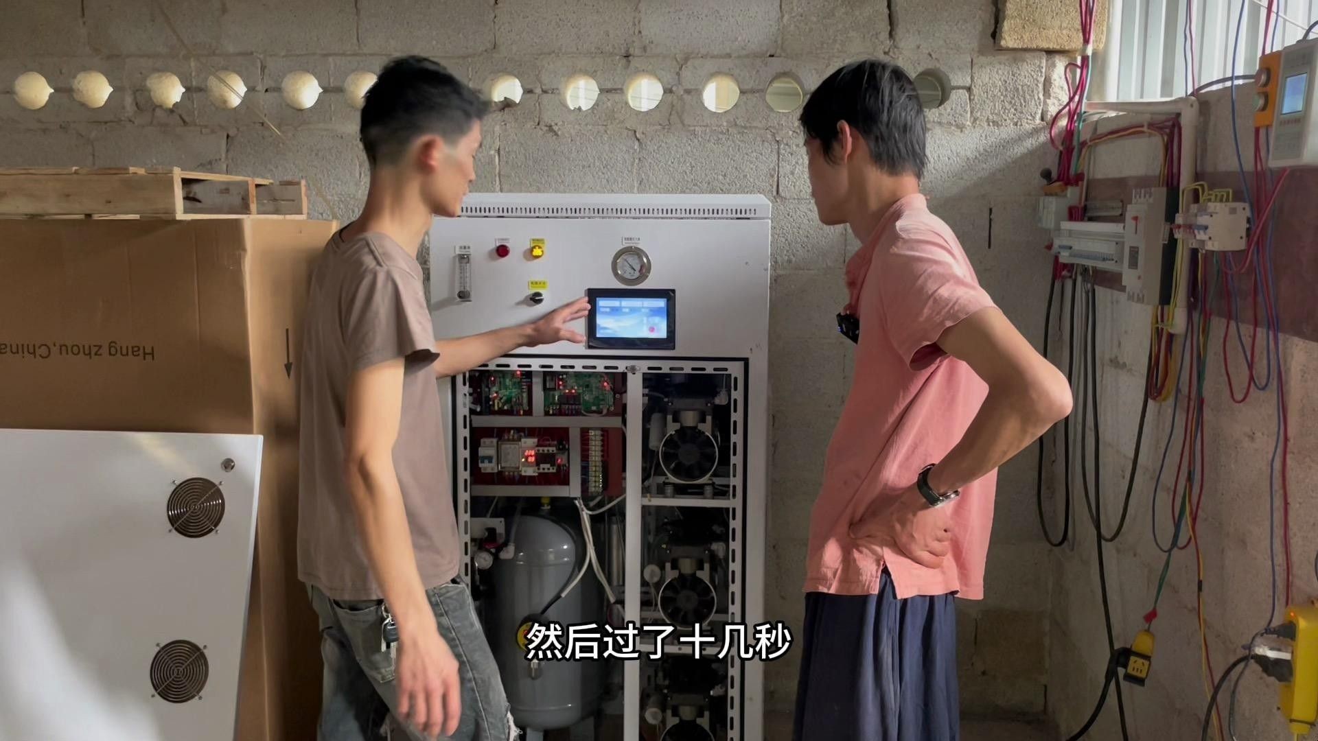 2025年龍魚市場有哪些新品種（025年龍魚市場預計將出現一系列新品種）