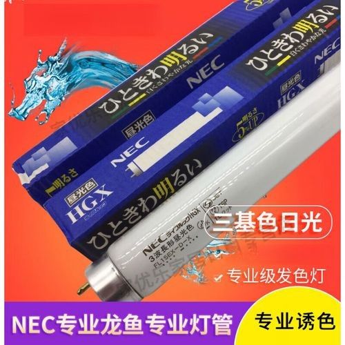 龍魚專用燈管的價格是多少（如何選擇適合龍魚的燈管？）