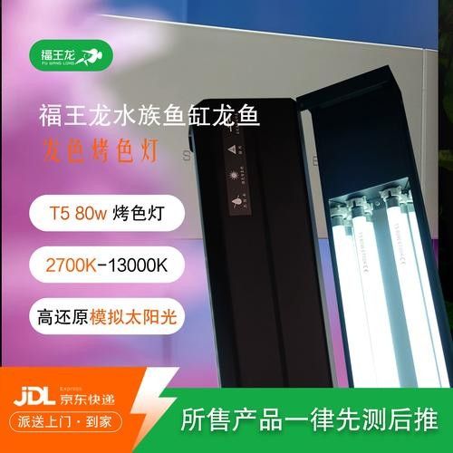 龍魚專用燈管的價格是多少（如何選擇適合龍魚的燈管？）