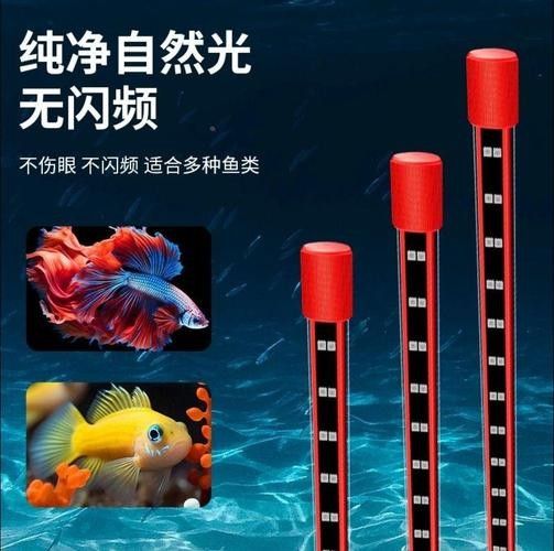 龍魚專用燈管的價格是多少（如何選擇適合龍魚的燈管？）