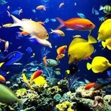 榆林水族館：榆林市榆林市榆林市榆林市榆陽區一泓水族館親子活動