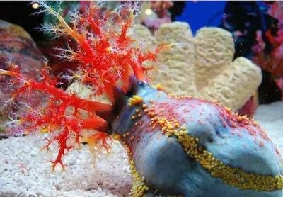 榆林水族館：榆林市榆林市榆林市榆林市榆陽區一泓水族館親子活動