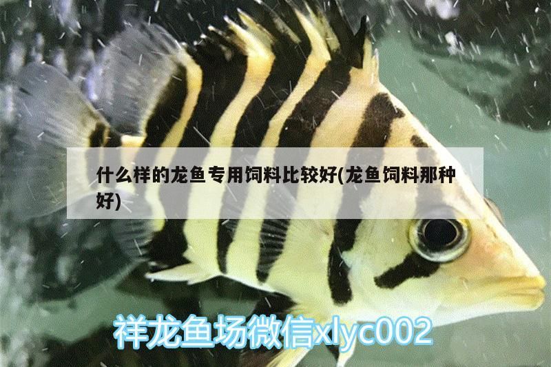 什么樣的龍魚專用飼料比較好(龍魚飼料那種好)