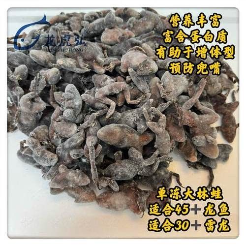 哪些品牌龍魚容易兜嘴？（哪些品牌的龍魚不容易兜嘴？）