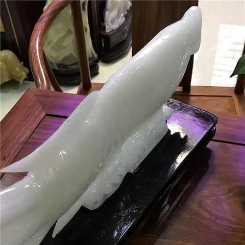 白玉龍魚的價格是多少（白玉龍魚價格是多少）