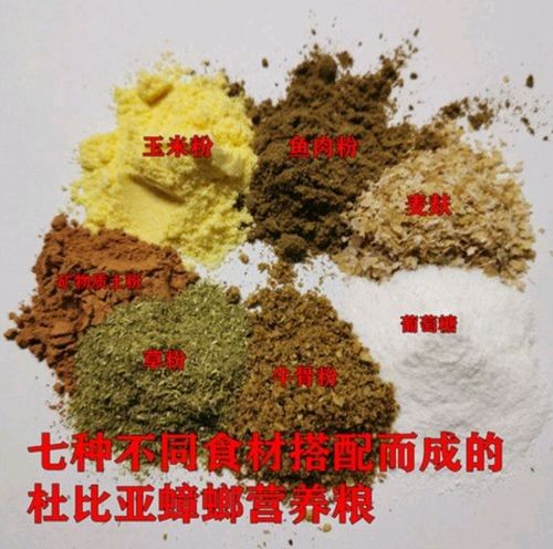 龍魚飼料哪個品牌最好（龍魚飼料哪個牌子好）