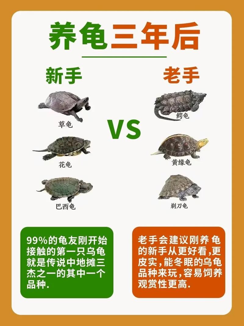 推薦一些與黃頭側(cè)頸龜混養(yǎng)的植物