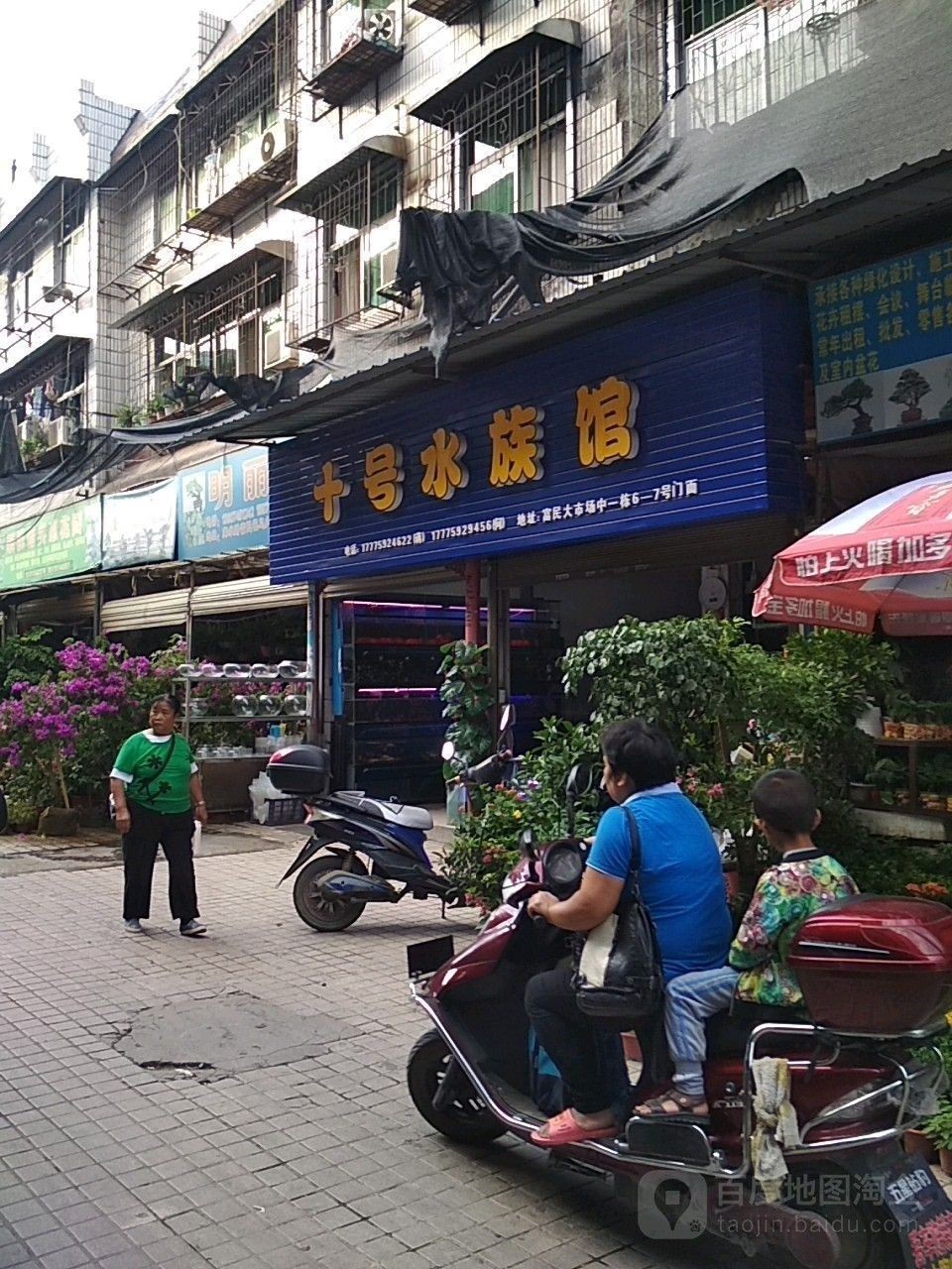 保靖哪個水族館龍魚好？祥龍魚場龍魚（保靖縣祥龍魚場）